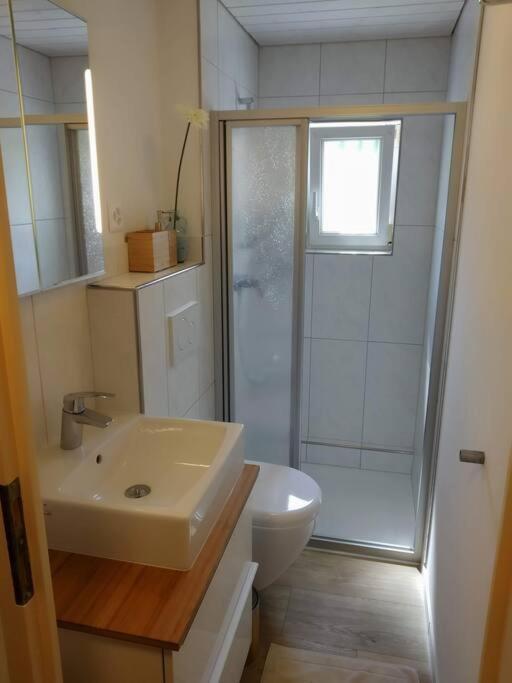 Bijou 1 Huebsche 1 Zimmer Wohnung Херизау Экстерьер фото